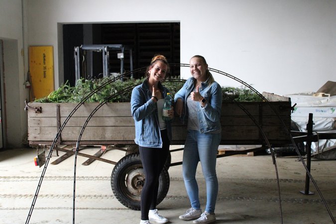 Hochzeit Isabella und Daniel